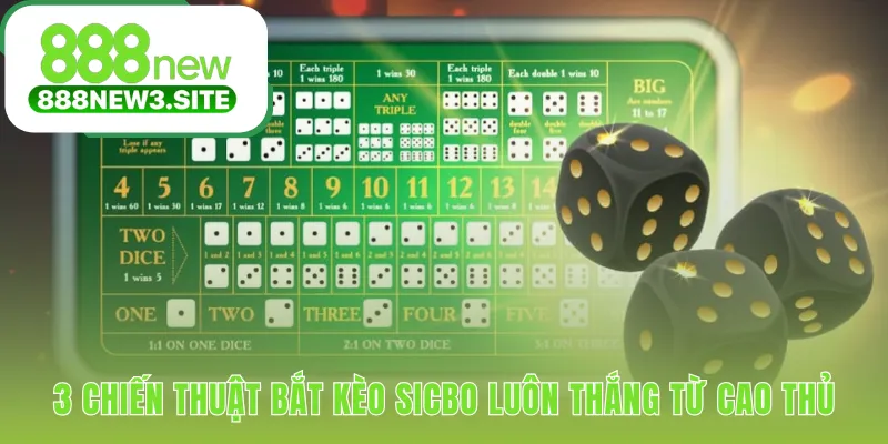 Cách bắt kèo sicbo ứng dụng hệ thống quản lý vốn bài bản