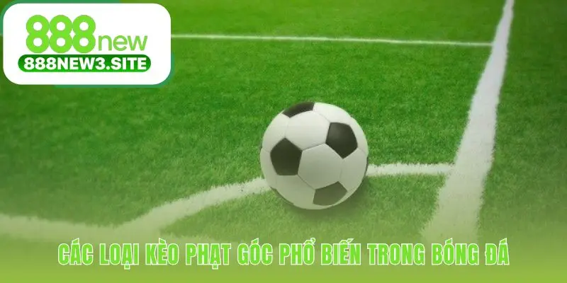 Các loại phổ biến có Tài Xỉu Chấp và 1X2