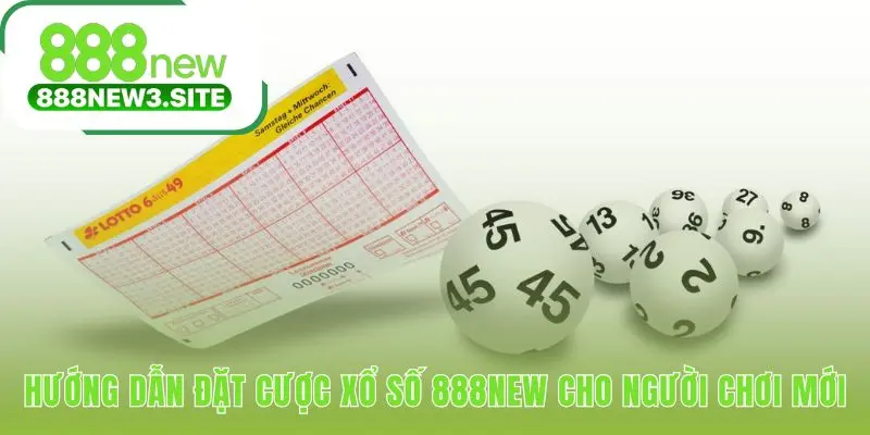 Hướng dẫn đặt cược xổ số 888NEW gồm 5 bước đơn giản