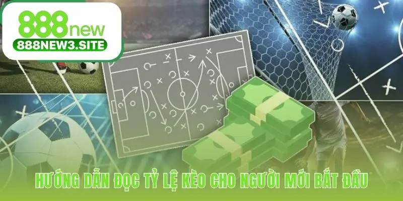 Đọc tỷ lệ kèo bóng đá giải thích các khái niệm then chốt