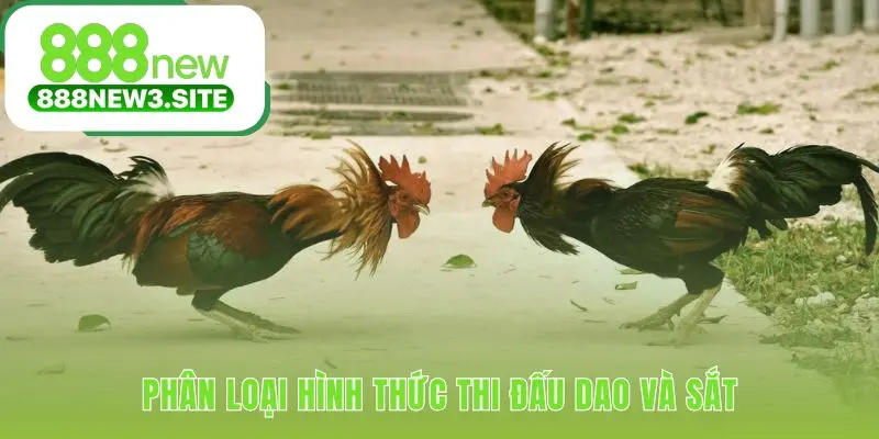 Phân biệt cựa dao và cựa sắt qua vũ khí và tính sát thương