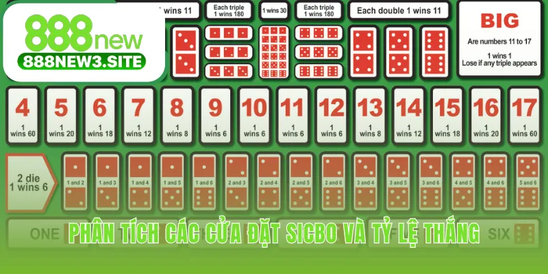 Hiểu rõ xác suất từng cửa đặt là nền tảng quyết định