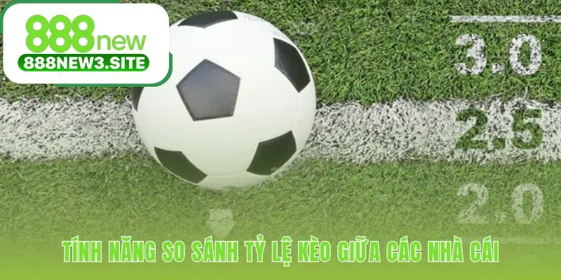 So sánh từ nhiều nhà cái để tìm mức odds hấp dẫn