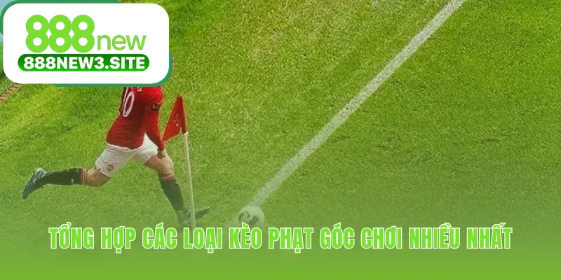 Kèo phạt góc phổ biến giới thiệu các hình thức cược đa dạng