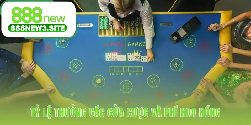 Phí hoa hồng 5% giúp cân bằng lợi thế xác suất cửa Banker