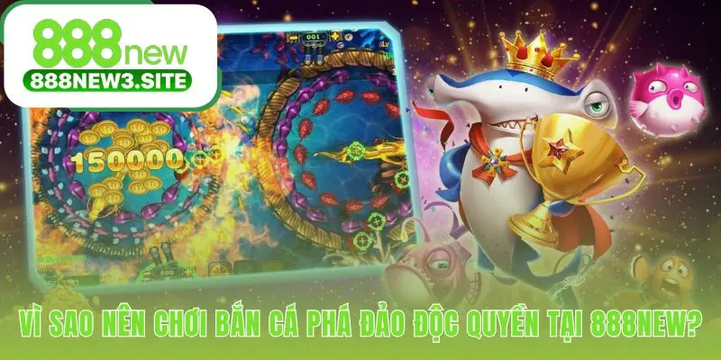 Nhà cái cam kết tỷ lệ thưởng cao và giao dịch siêu tốc